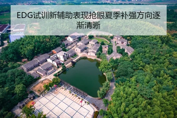 EDG试训新辅助表现抢眼夏季补强方向逐渐清晰